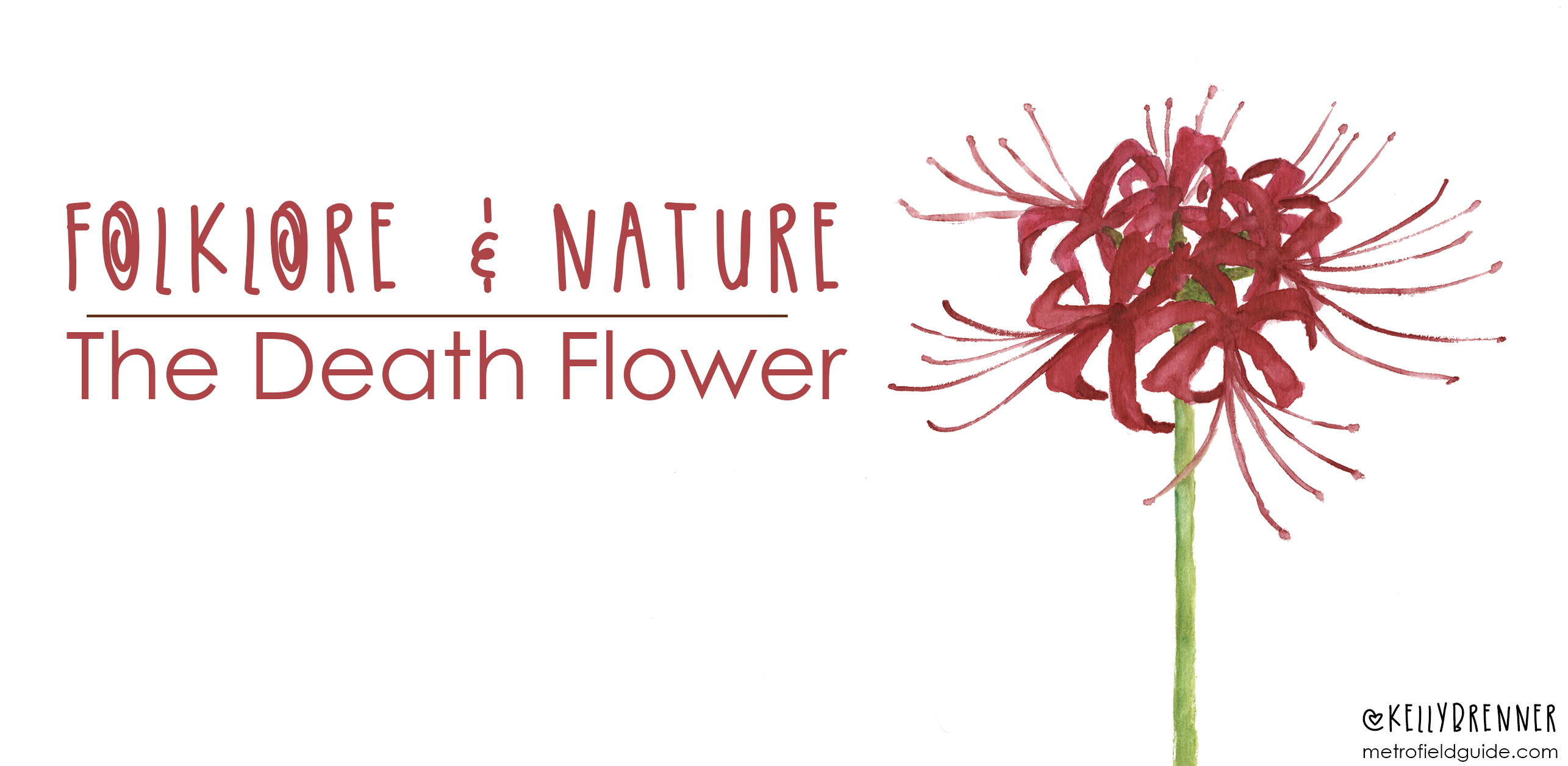Folklore Nature The Death Flower