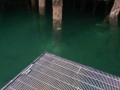 A floating dock
