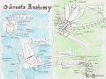 Odonata Anatomy