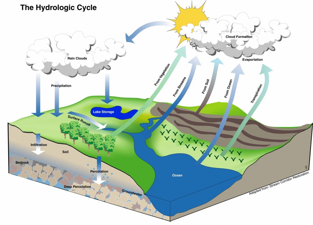Water Lifecycle Coloring Page | Water cycle, Water cycle diagram, Water  cycle worksheet