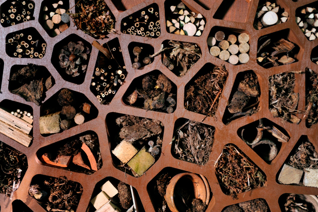The Insect Hotel 