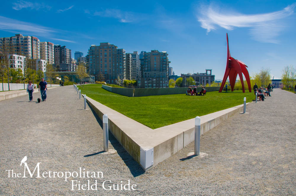 Art Meets Habitat:: The Olympic Sculpture Park