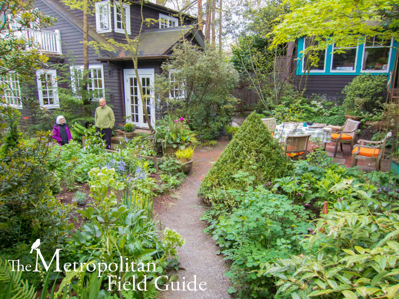 The Urban Garden of Keith Geller