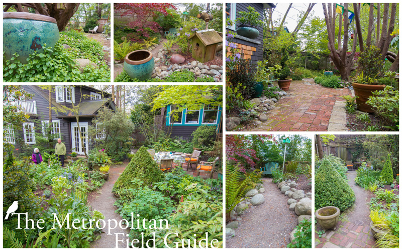 The Metropolitan Field Guide The Urban Garden of Keith Geller - The ...
