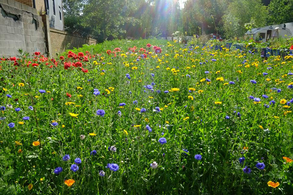 Mobile Gardeners Park (River of Flowers South London)