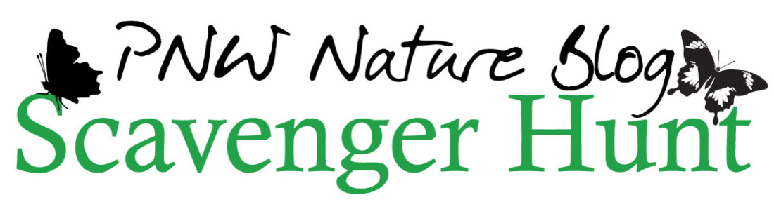 2015 PNW Nature Blog Scavenger Hunt