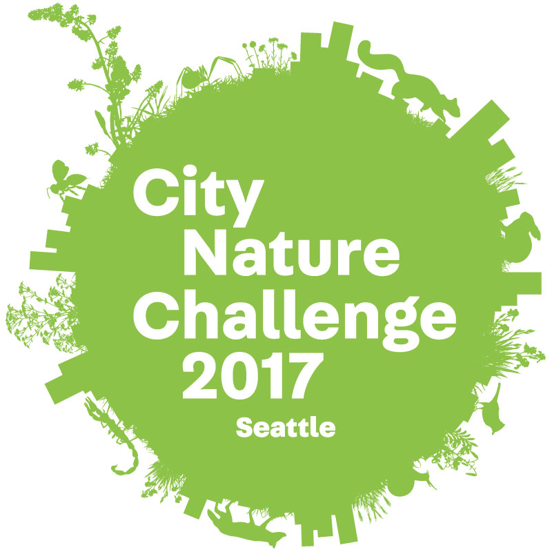 Seattle City Nature Challenge