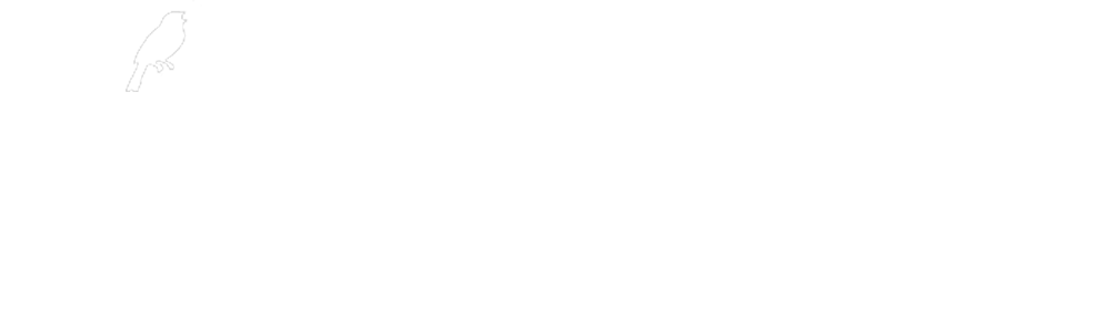 The Metropolitan Field Guide Blog