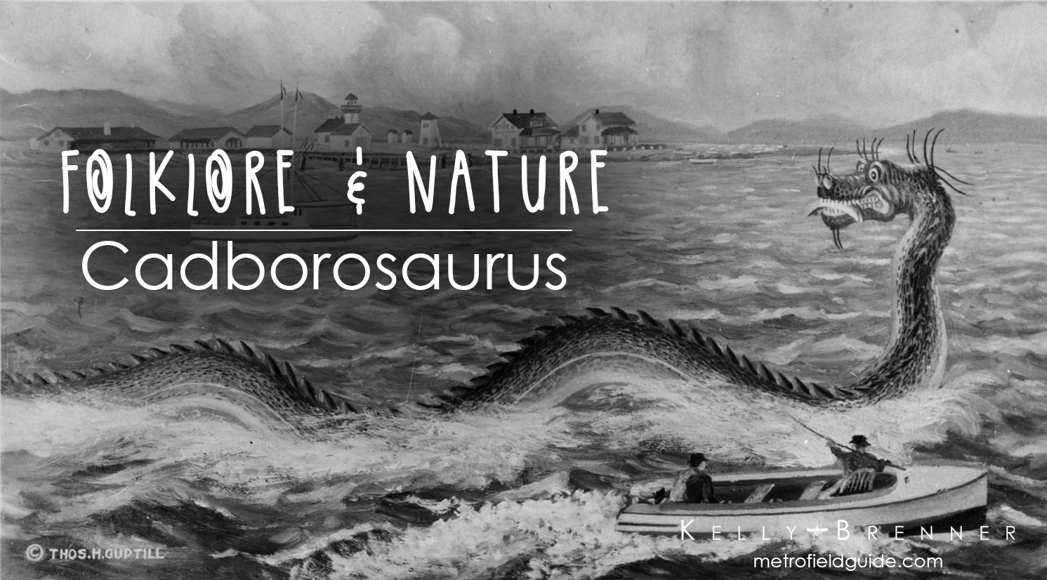 Folklore & Nature: Cadborosaurus