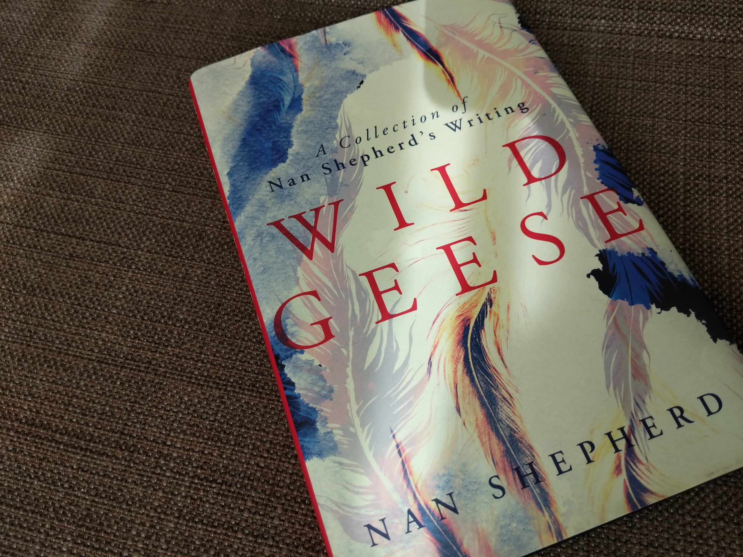 Book Review: Wild Geese by Nan Shepherd