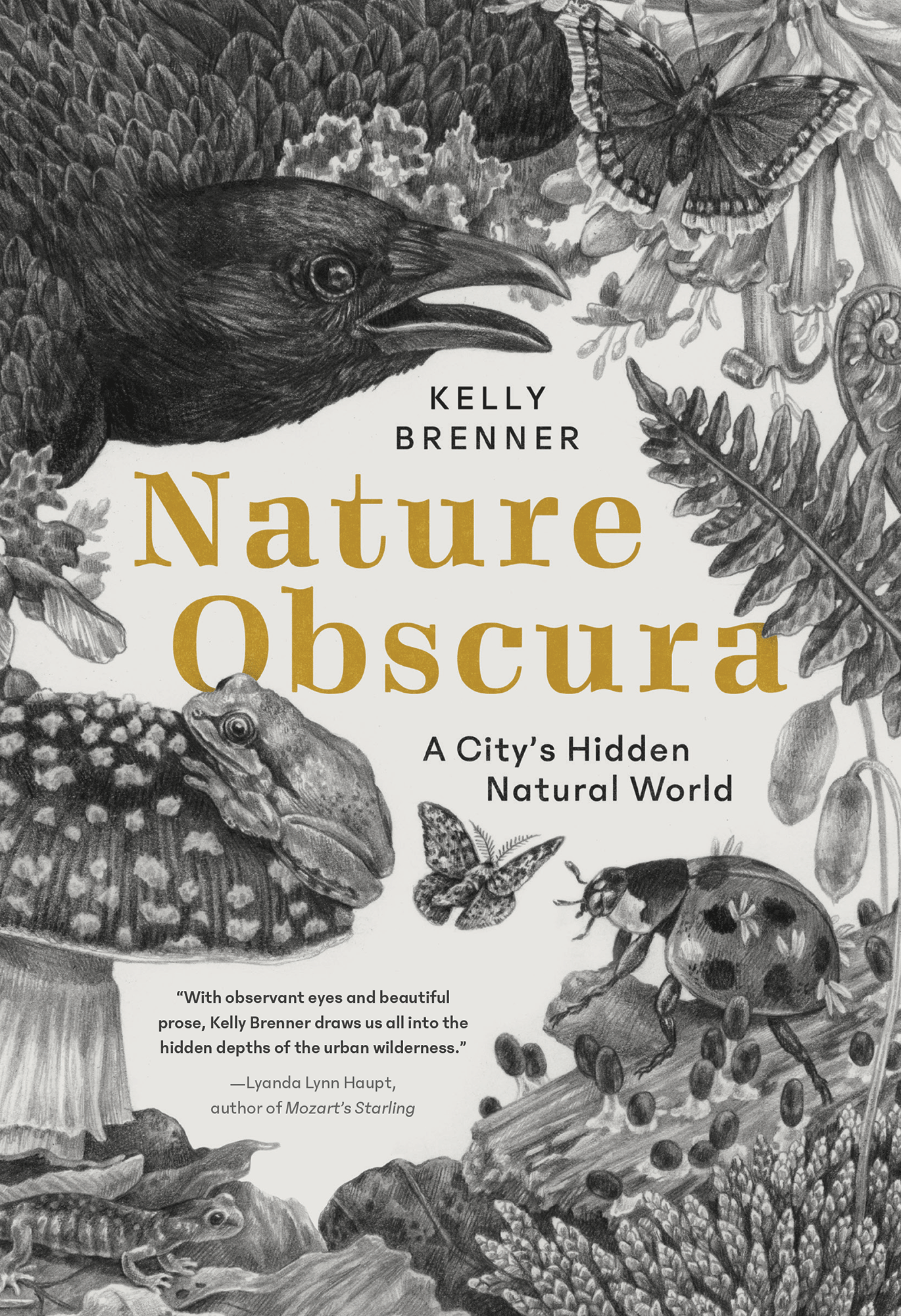 Nature Obscura Published!