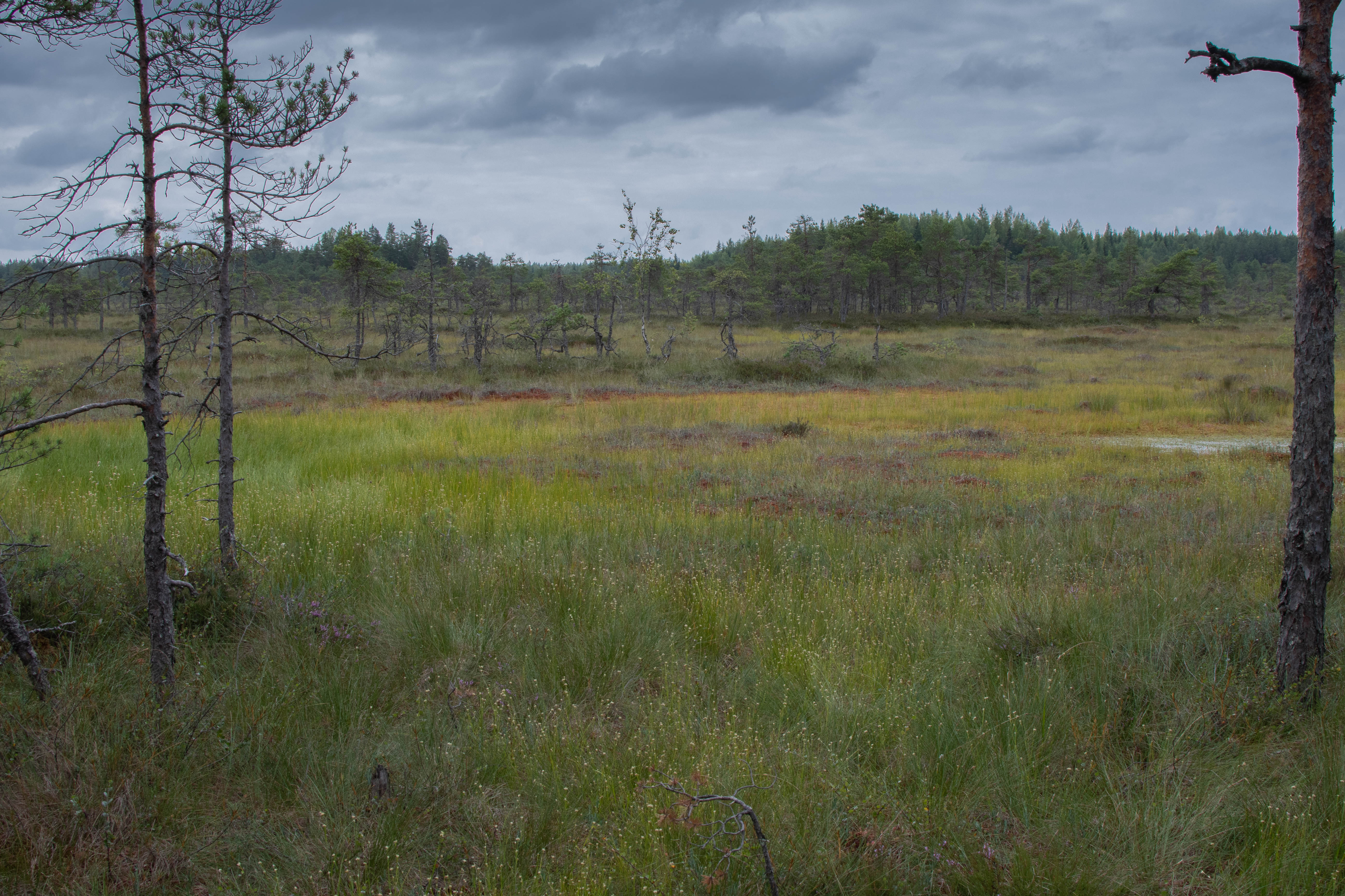 Field Journal: Valkmusa National Park