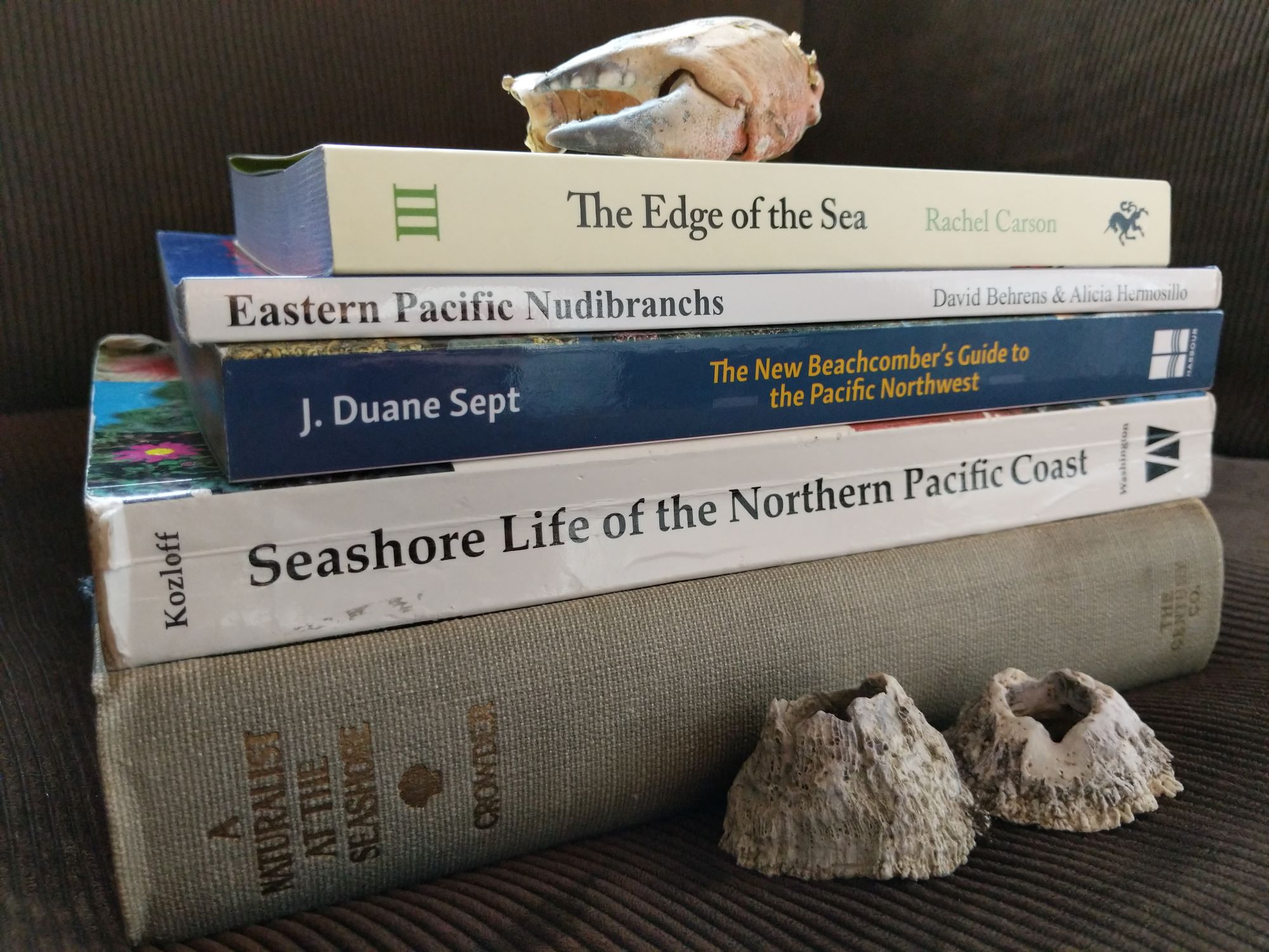 5 Marine Biology Books