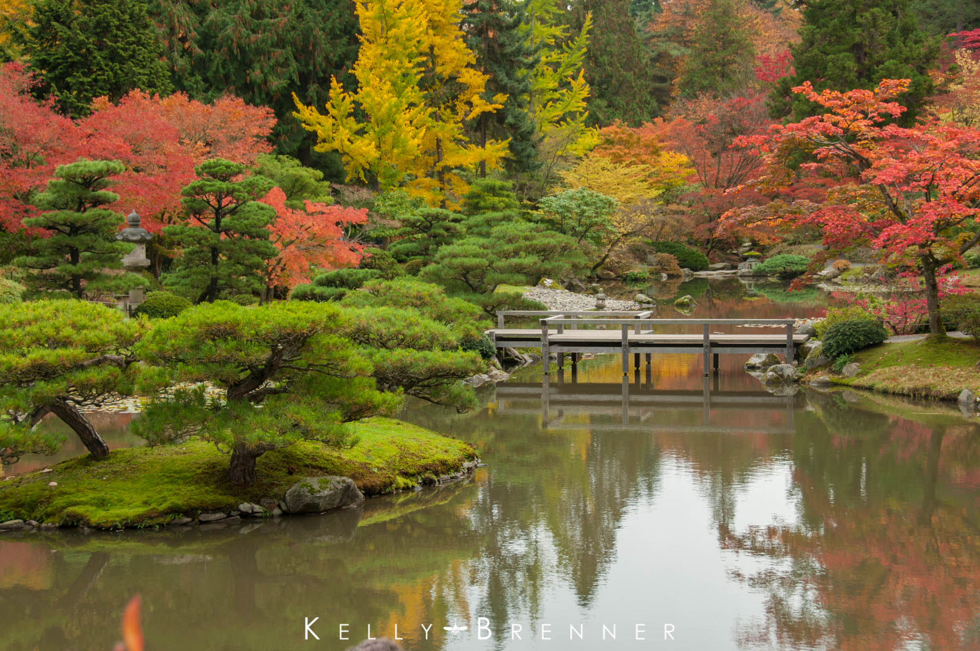 Japanese Buddhist Gardens