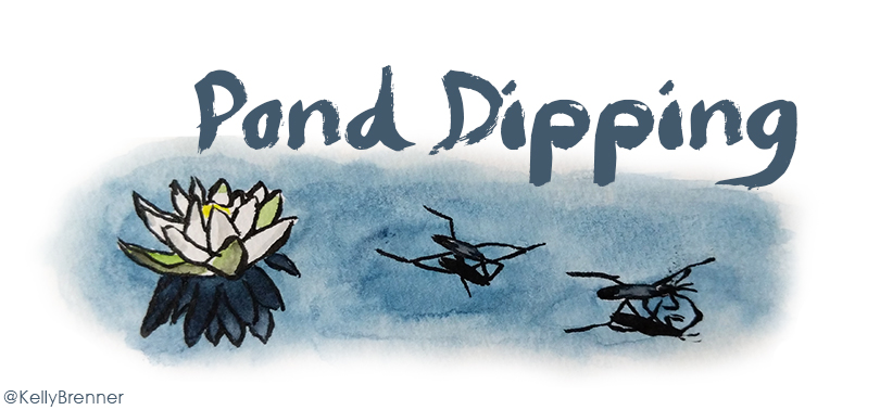 How to Go Pond Dipping