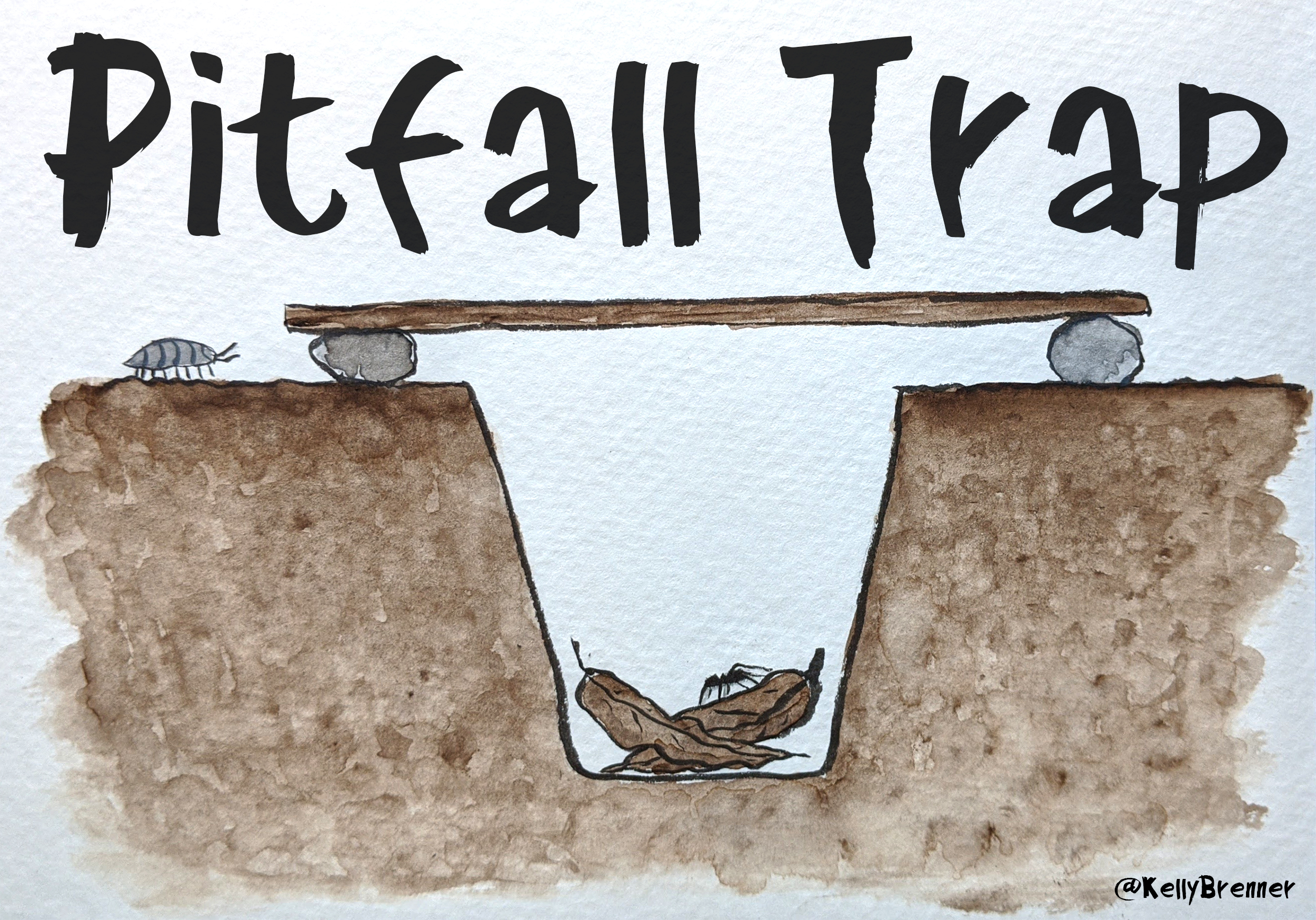 How to Make a Pitfall Trap