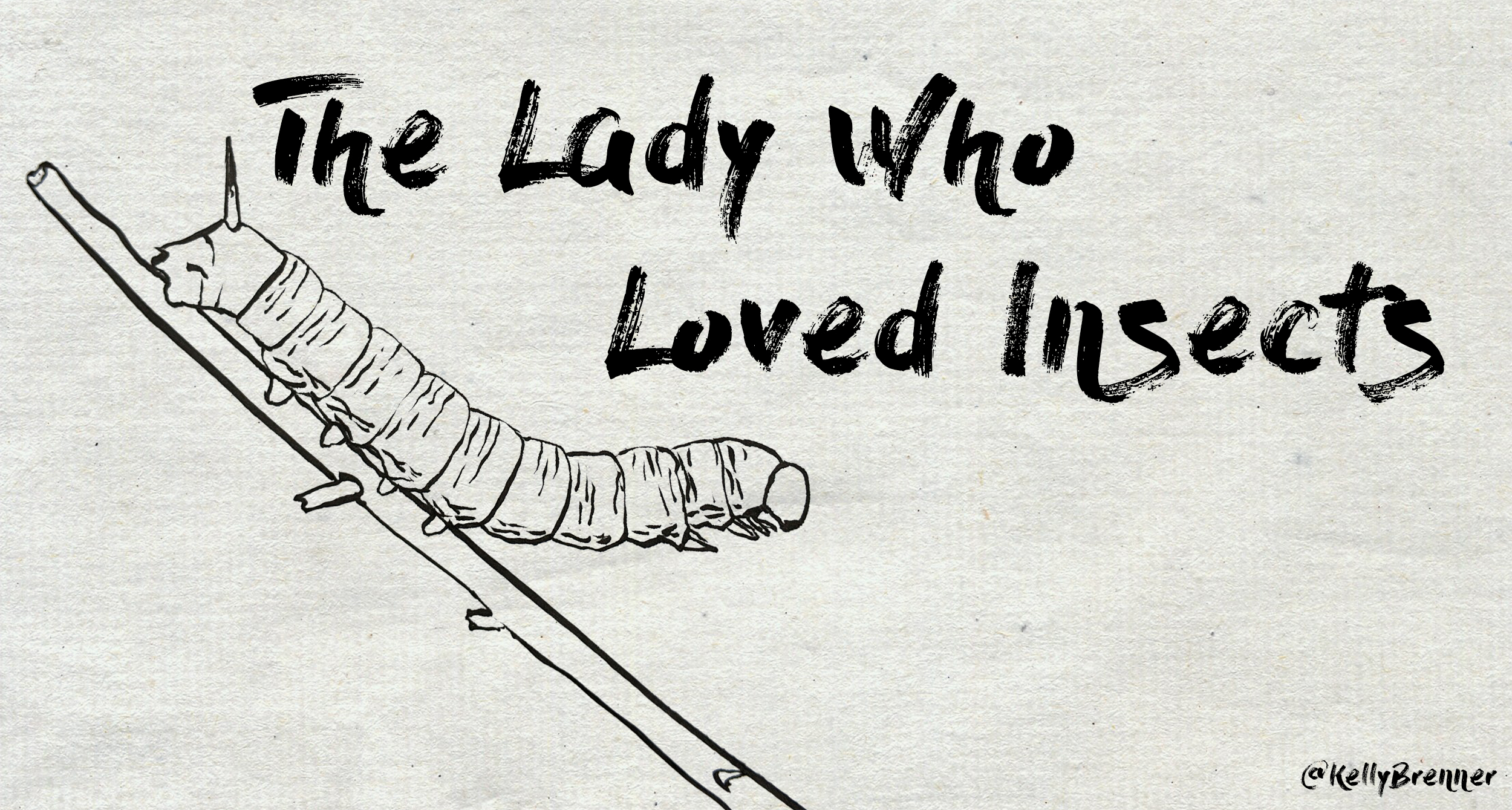 The Lady Who Loved Insects