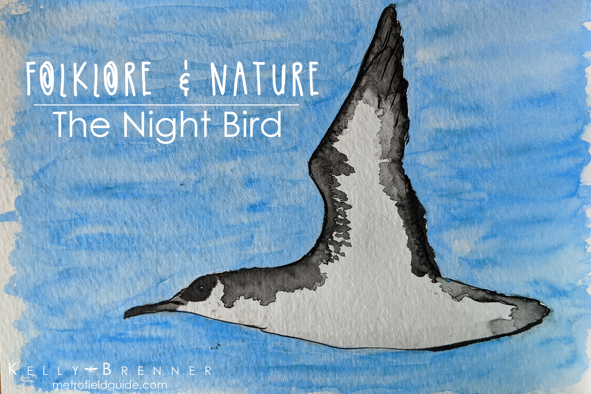 Folklore & Nature: The Night Bird
