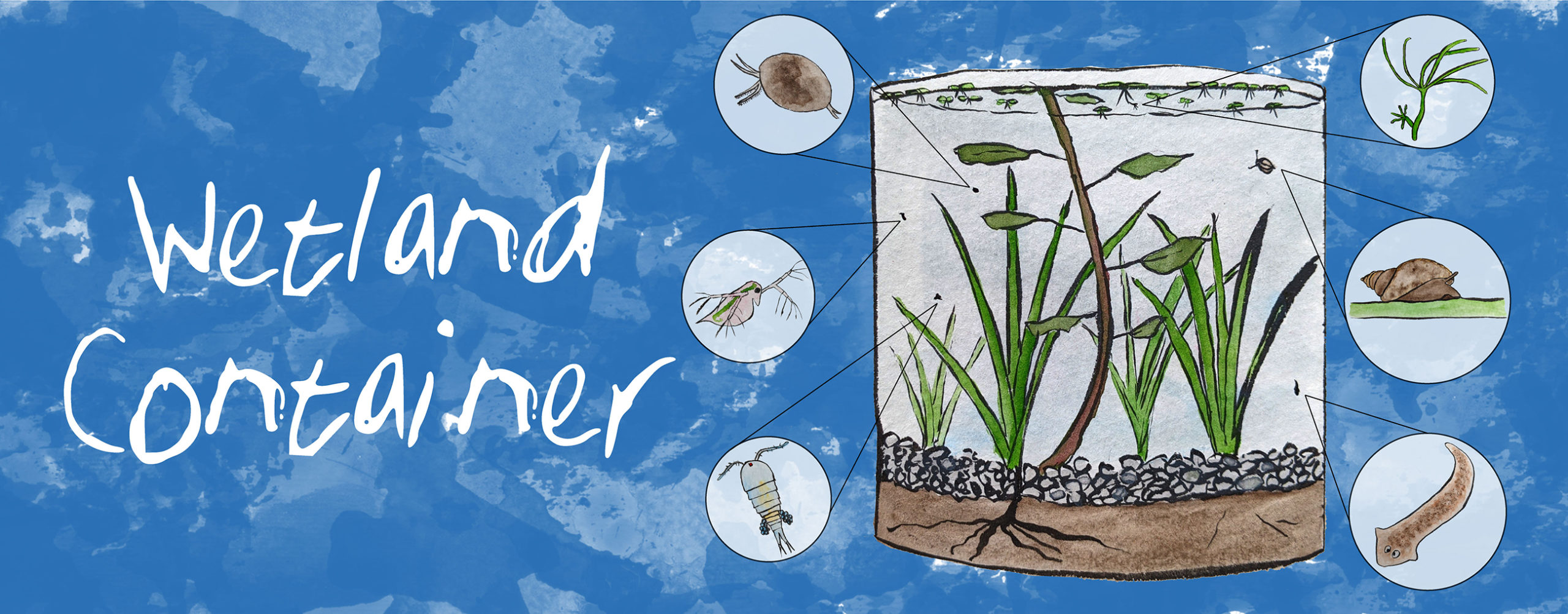 How to Make a Wetland Container